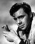 Dirk Bogarde in The Sea Shall Not Have Them Poster and Photo