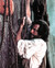 Pierce Brosnan in Robinson Crusoe Poster and Photo