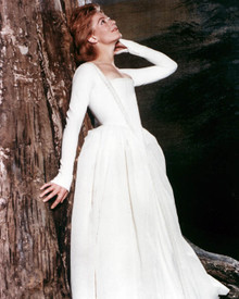 Vanessa Redgrave in Camelot Poster and Photo