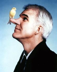 Steve Martin in Roxanne Poster and Photo