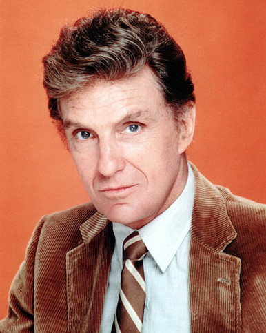 Robert Stack Poster and Photo