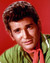 Michael Landon Poster and Photo