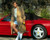 Greg Kinnear Poster and Photo