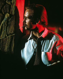 William Hurt in Body Heat Poster and Photo