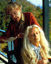 Lillian Gish & Bette Davis in The Whales of August Poster and Photo