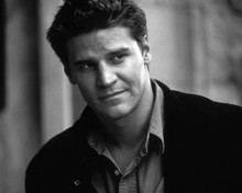 David Boreanaz in Valentine Poster and Photo