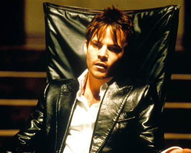 Stephen Dorff in Blade Poster and Photo