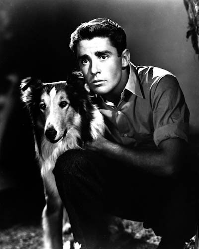 Peter Lawford Poster and Photo 1021031 | Free UK Delivery & Same Day  Dispatch Available