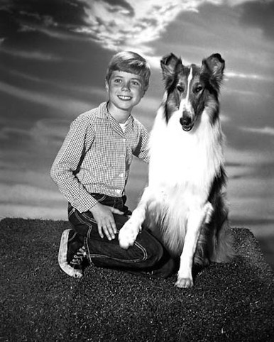 Jon Provost & Lassie in Lassie (1954) Poster and Photo