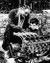Al Lewis & Butch Patrick in The Munsters Poster and Photo