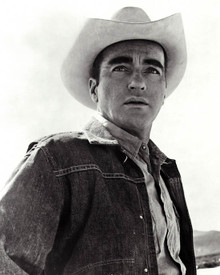 Montgomery Clift in The Misfits Poster and Photo