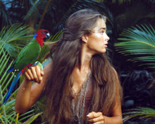 Brooke Shields in The Blue Lagoon (1980) Poster and Photo