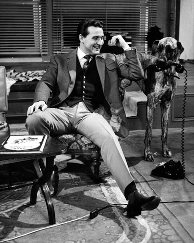 Patrick MacNee in The Avengers (Second Season - 1962-63) Poster and Photo