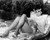 Shirley MacLaine in What a Way to Go Poster and Photo