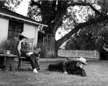 Shirley MacLaine & Robert Mitchum in What a Way to Go Poster and Photo