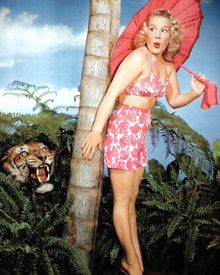 Betty Hutton Poster and Photo