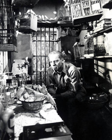 Burt Lancaster in Birdman of Alcratraz Poster and Photo