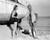 Esther Williams & Jeff Chandler in Raw Wind In Eden Poster and Photo
