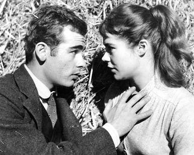 Dean Stockwell & Heather Sears in Sons and Lovers Poster and Photo