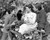Dean Stockwell & Margaret O'Brien in The Secret Garden Poster and Photo