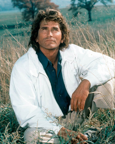 Michael Landon in Highway To Heaven Poster and Photo
