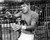 Burt Lancaster in Trapeze Poster and Photo