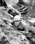 Kirk Douglas in Paths of Glory Poster and Photo