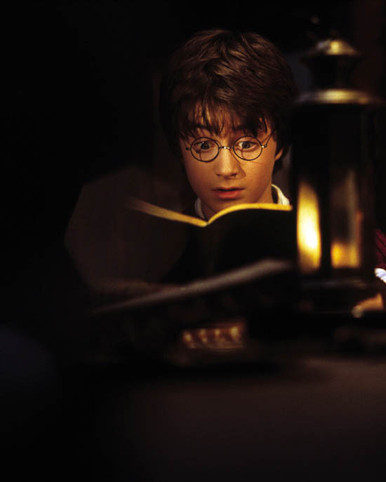Daniel Radcliffe in Harry Potter and the Chamber of Secrets Poster and Photo