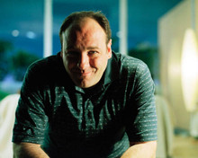 James Gandolfini in The Sopranos Poster and Photo