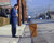 Adam Sandler in Punch-Drunk Love Poster and Photo