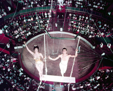 Gina Lollobrigida & Tony Curtis in Trapeze Poster and Photo
