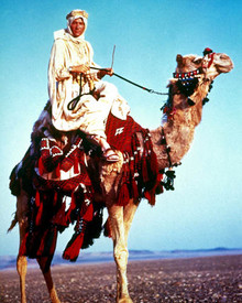 Peter O'Toole in Lawrence of Arabia Poster and Photo