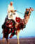 Peter O'Toole in Lawrence of Arabia Poster and Photo