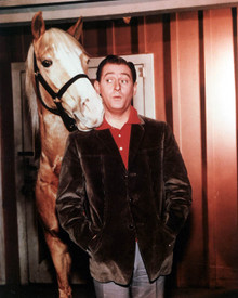 Mister Ed Poster and Photo