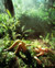 Amanda Donohoe in Castaway Poster and Photo