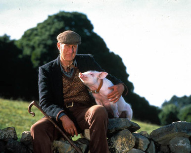 James Cromwell in Babe Poster and Photo