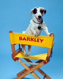 Barkley (the dog) in Clean Slate Poster and Photo