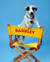 Barkley (the dog) in Clean Slate Poster and Photo