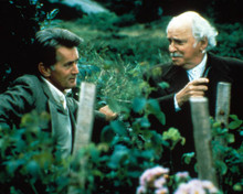 Martin Sheen & Barnard Hughes in Da Poster and Photo