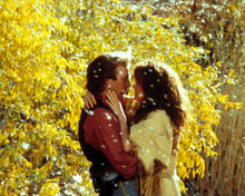 Kevin Costner & Mary McDonnell in Dances With Wolves Poster and Photo