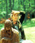 Jane Fonda in The Dollmaker Poster and Photo