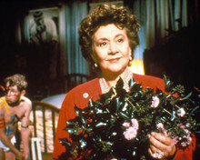 Joan Plowright in Drowning by Numbers Poster and Photo