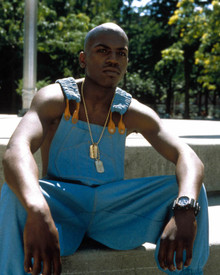 Mekhi Phifer in Clockers Poster and Photo