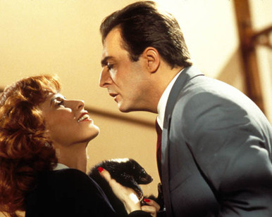Armand Assante in Fatal Instinct Poster and Photo