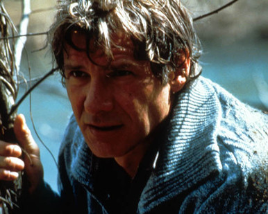 Harrison Ford in The Fugitive Poster and Photo