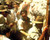 Mel Gibson in Gallipoli Poster and Photo