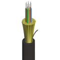 12 Fiber 8.3/125 Singlemode Tight Buffer Indoor/Outdoor Plenum Premise Cable (KQ0129611801)
