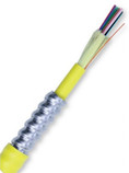 Leviton Berk-Tek 12 Fiber SInglemode Armored Indoor/Outdoor Plenum Fiber