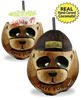 16oz Panda Coconut is a real hand carved coconut painted to look like a panda. A top and straw completes the design.