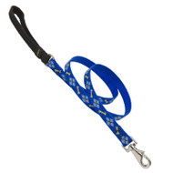 3/4x6 Dd Dog Leash